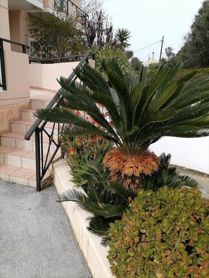Kydoni Apartments And Studios Aγία Μαρίνα Εξωτερικό φωτογραφία