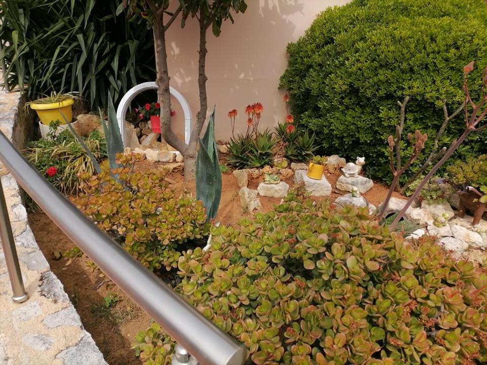Kydoni Apartments And Studios Aγία Μαρίνα Εξωτερικό φωτογραφία